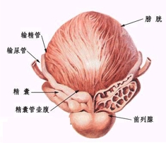 低温下同房” 